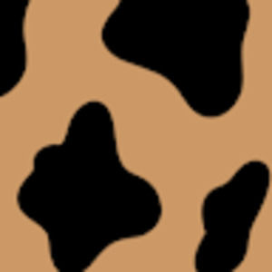 Meet your Posher, Leani